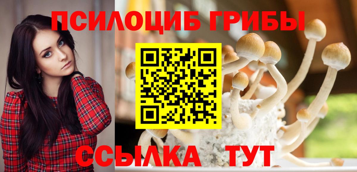 Галлюциногенные грибы ЛСД  Псилоцибиновые грибы MAGIC MUSHROOMS  Анапа  Вход с VPN 