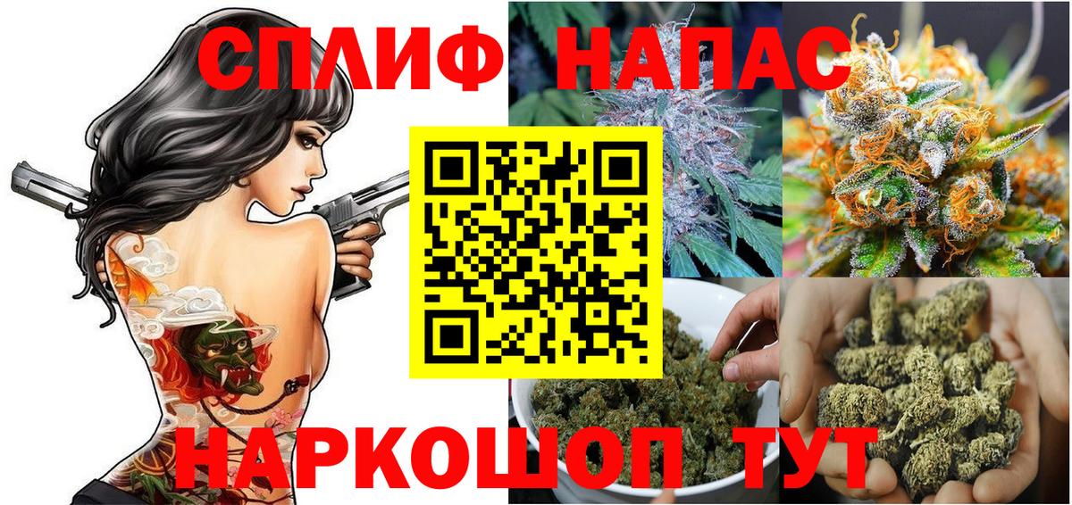 Конопля марихуана Анапа